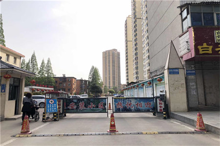 如何低成本打造小花园
